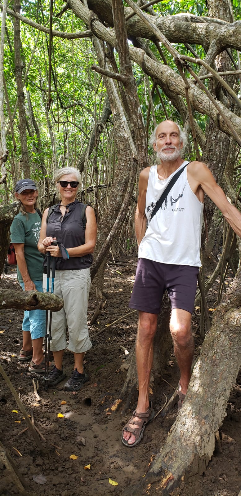  🇫🇯️ Viani Bay and Rainbow reef  images/2024/boi/walk.jpg