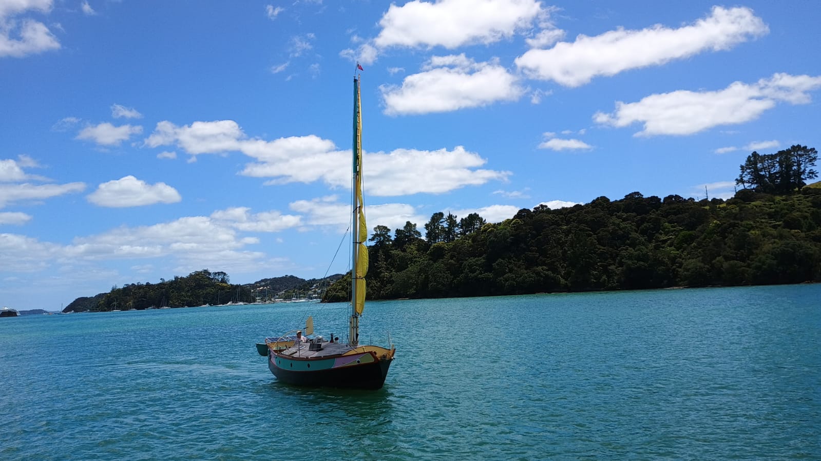  🇳🇿️ Sailing to the Bay of Islands images/2024/bos/anie.jpg