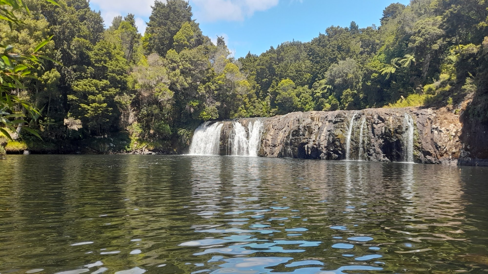  🇳🇿️ Sailing to the Bay of Islands images/2024/bos/fall.jpg