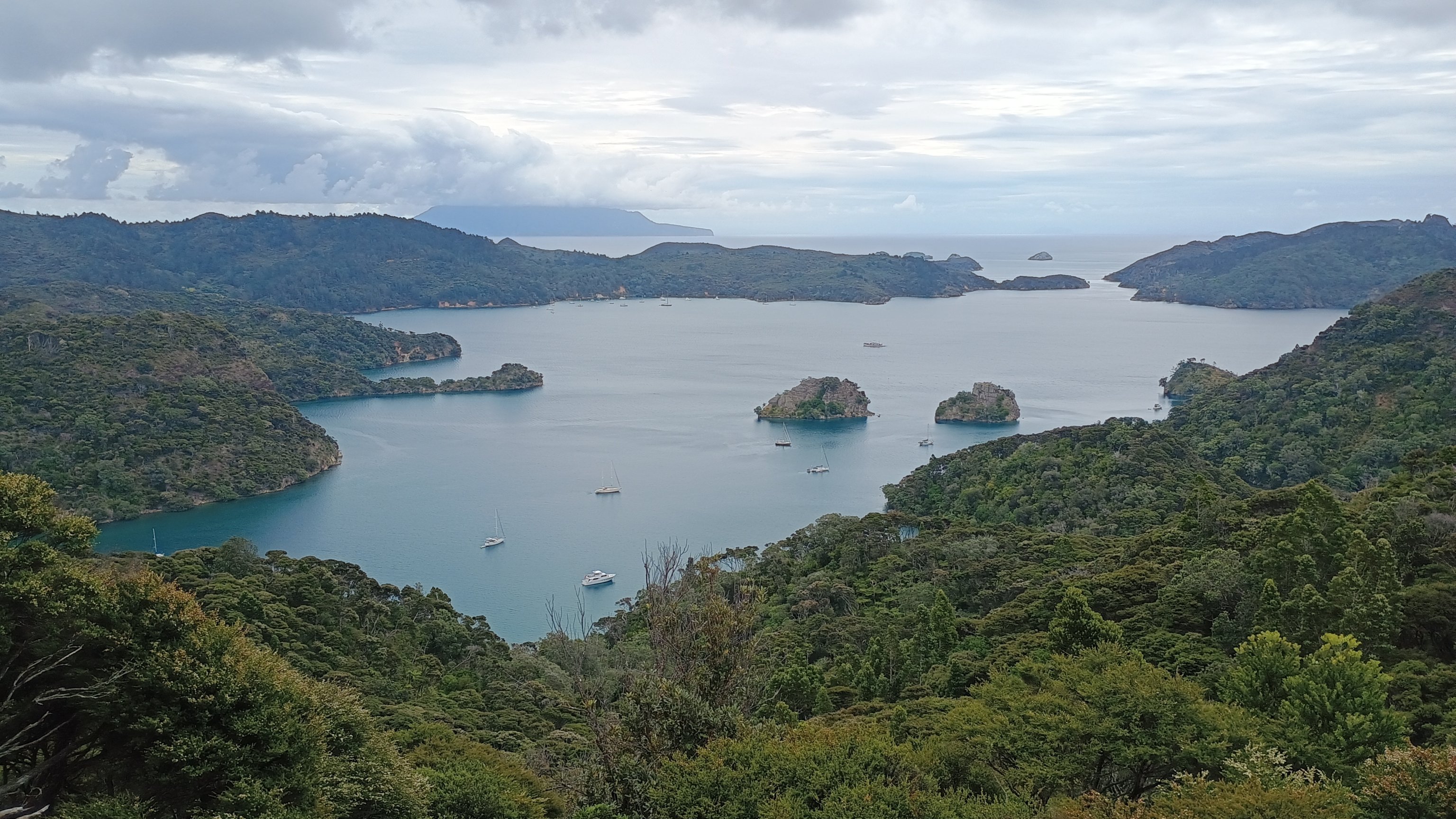  🇳🇿️ Christmas at Great Barrier Island images/2024/gre/high.jpg