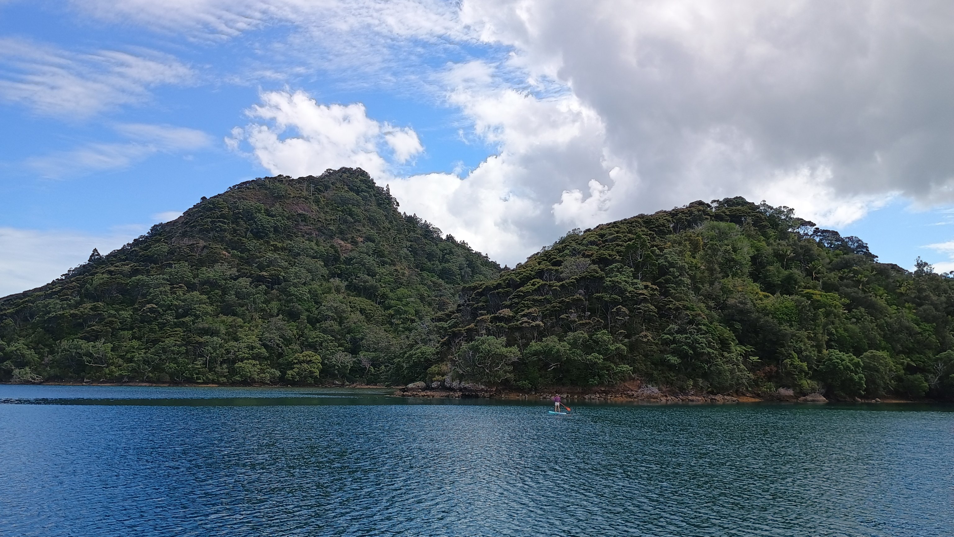  🇳🇿️ Christmas at Great Barrier Island images/2024/gre/pad.jpg