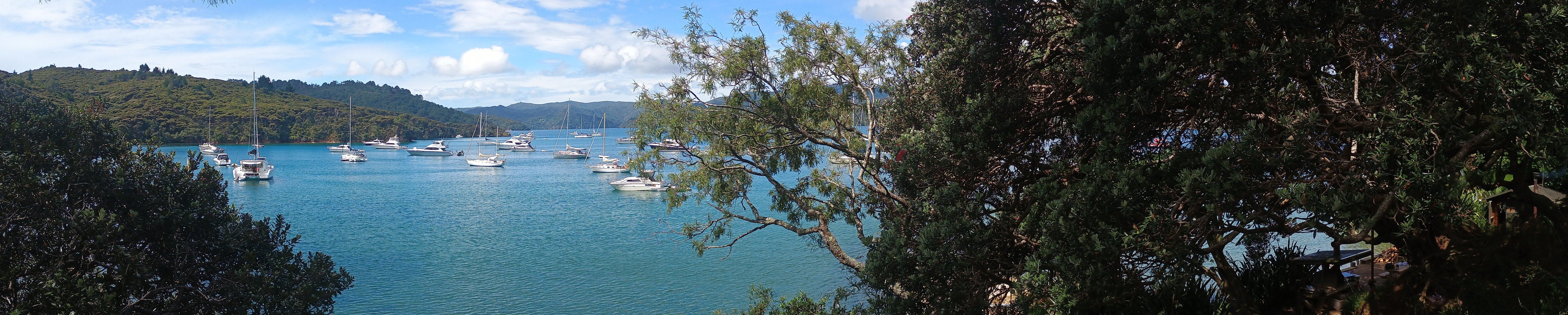  🇳🇿️ Christmas at Great Barrier Island images/2024/gre/smo.jpg