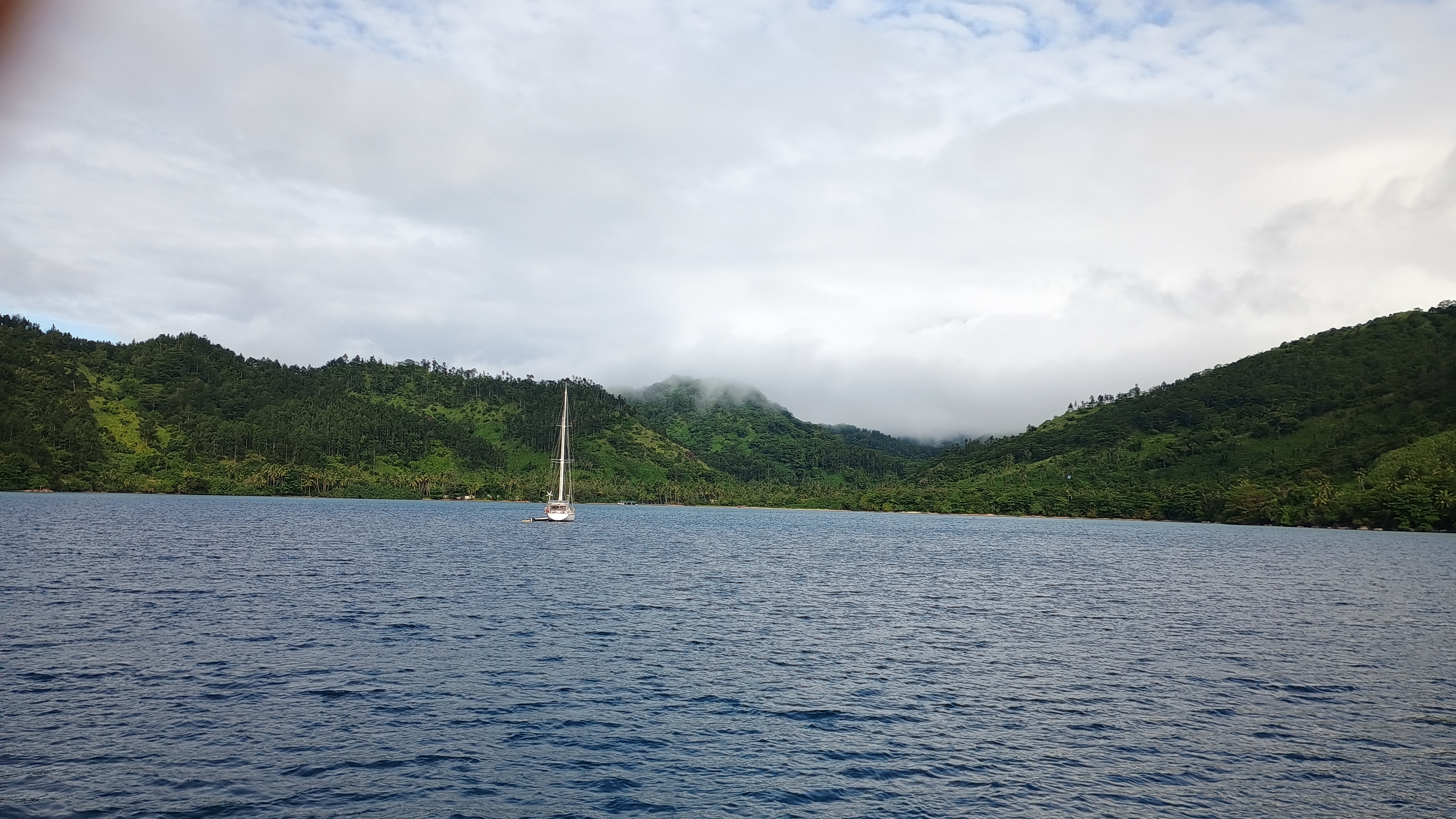  🇫🇯️ Makogai, Levuka and Astrolabe reef images/2024/male/7.jpg