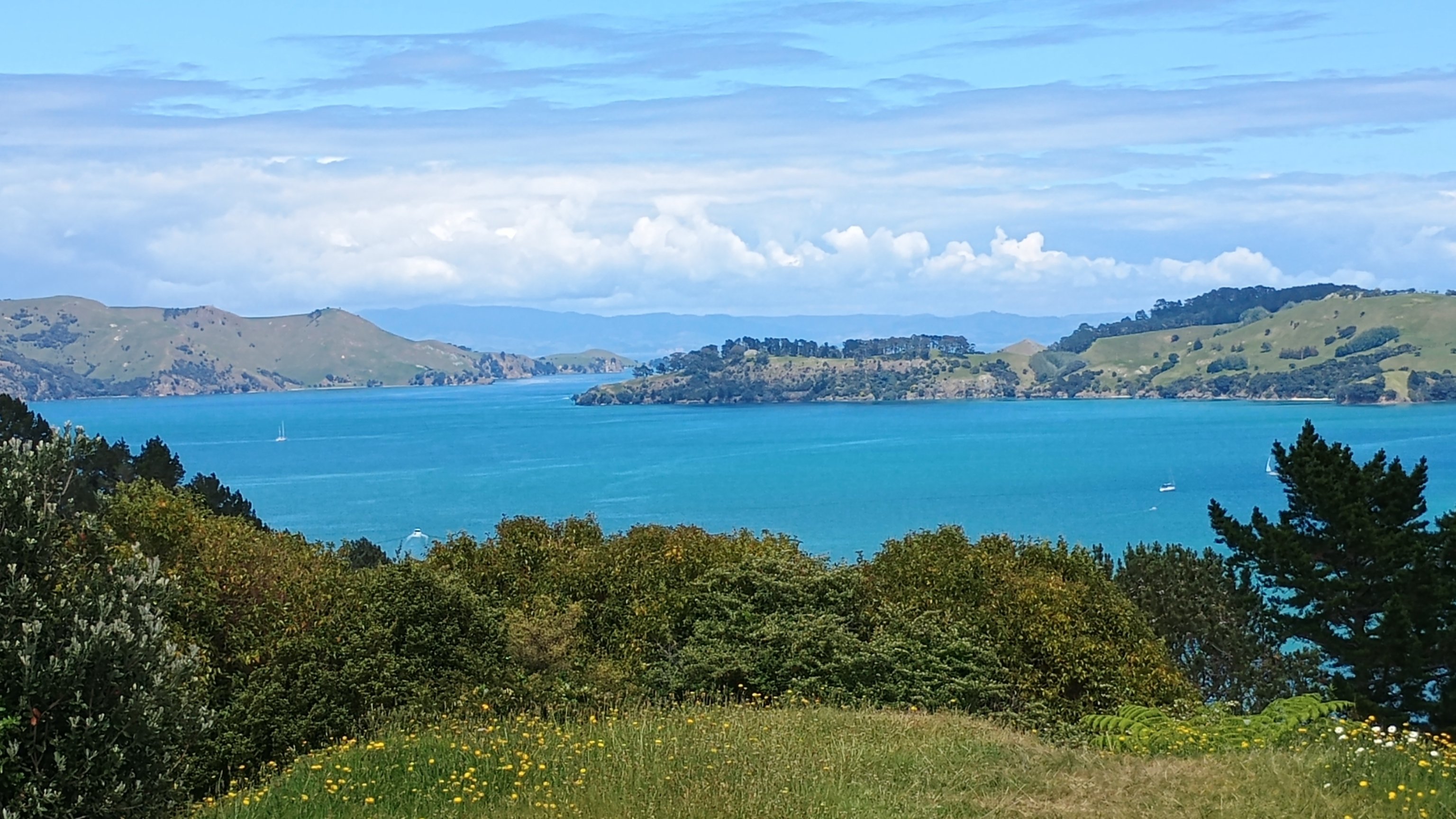  🇳🇿️ Kawau, Coromandel and Woolshed bay images/2024/nz1/c4.jpg