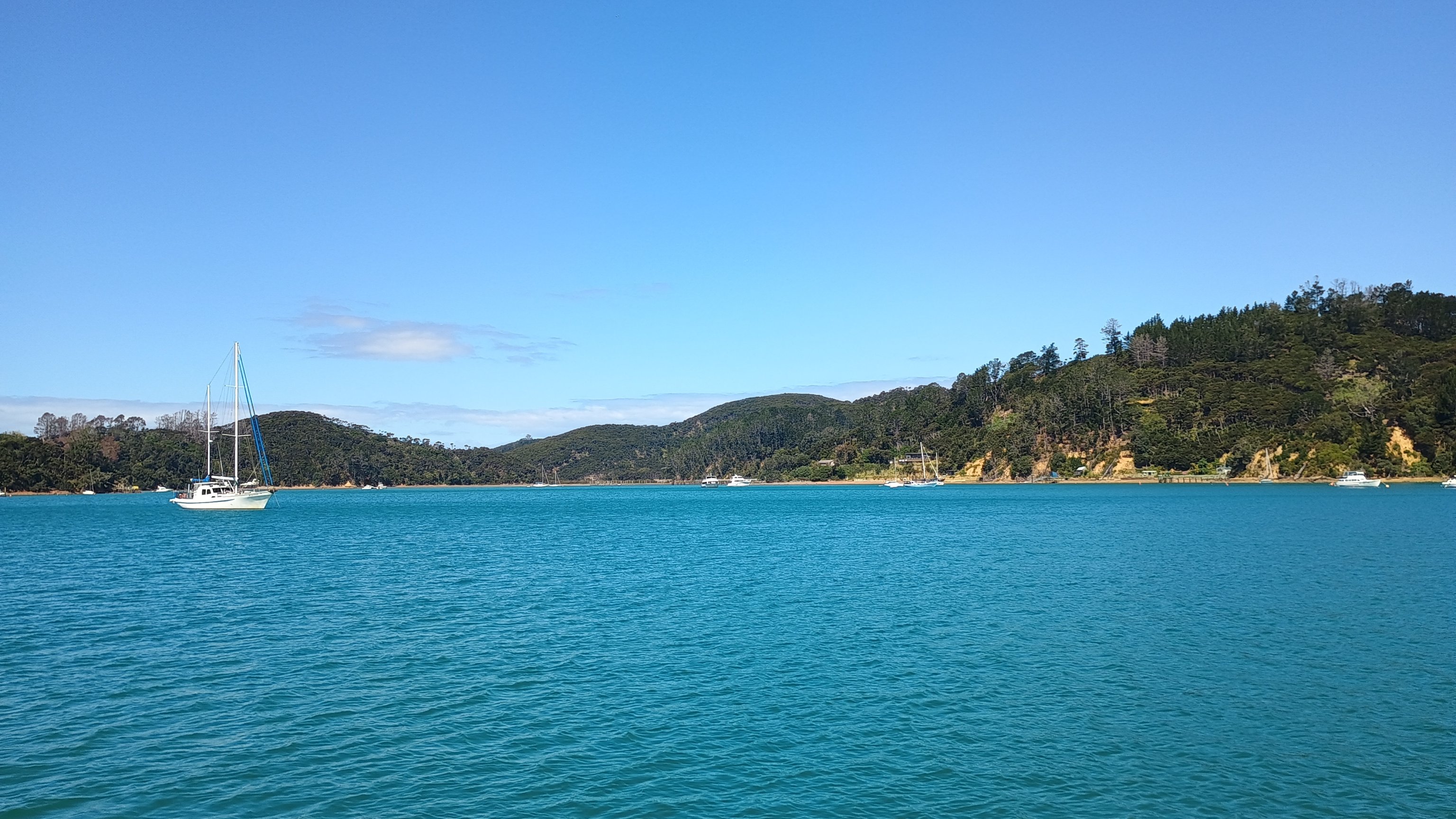  🇳🇿️ Kawau, Coromandel and Woolshed bay images/2024/nz1/k2.jpg