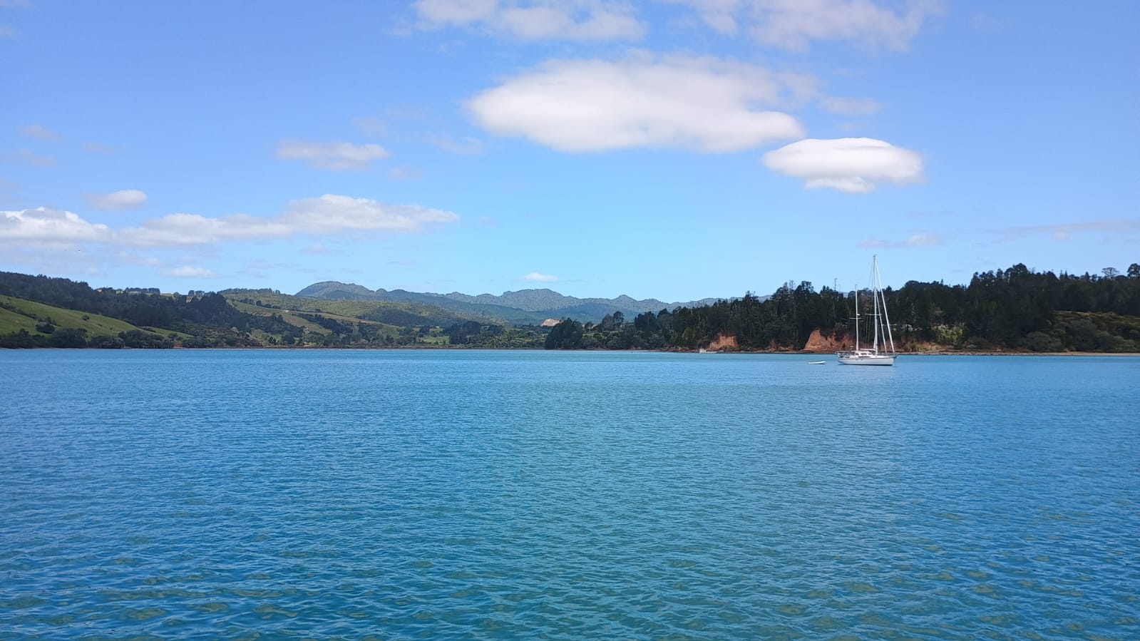  🇳🇿️ Kawau, Coromandel and Woolshed bay images/2024/nz1/kouma.jpg