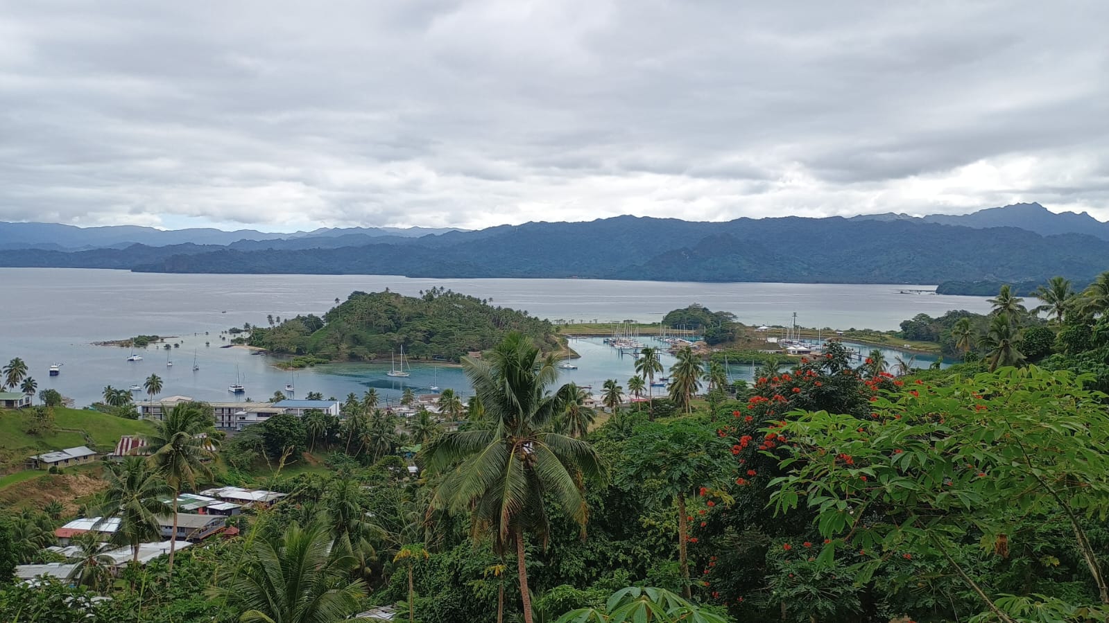  🇫🇯️ Savusavu and Namena island images/2024/sasa/asa2.jpg