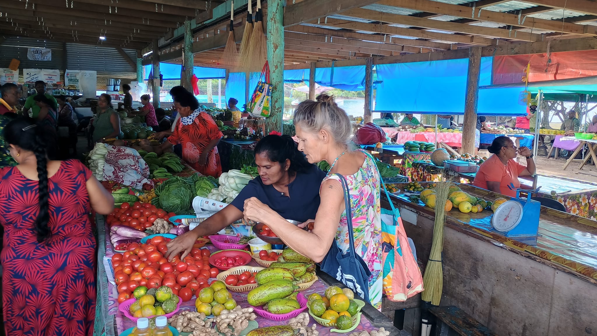  🇫🇯️ Savusavu and Namena island images/2024/sasa/mar.jpg