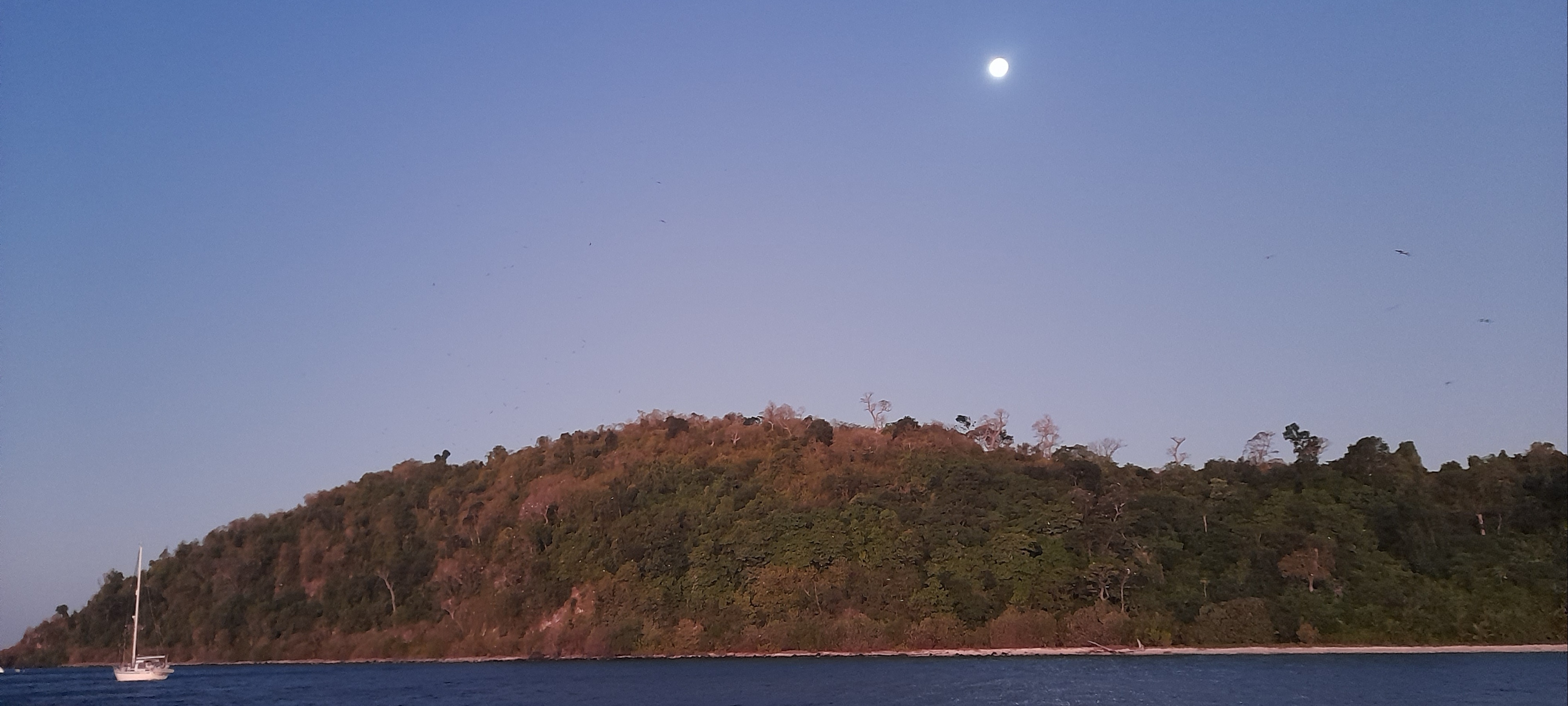  🇫🇯️ Savusavu and Namena island images/2024/sasa/nams.jpg