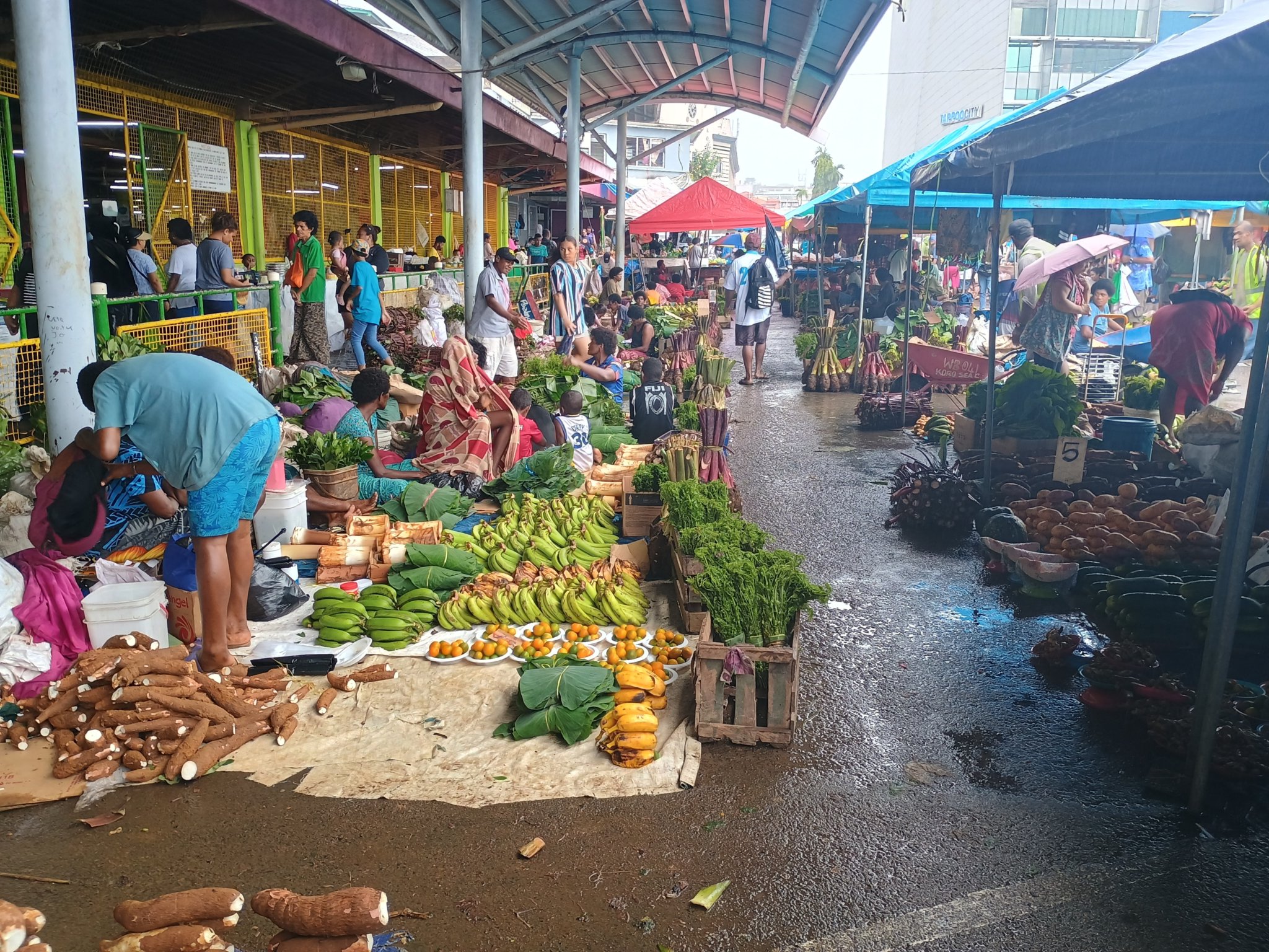  🇫🇯️ Suva in Fiji images/2024/su/m5.jpg