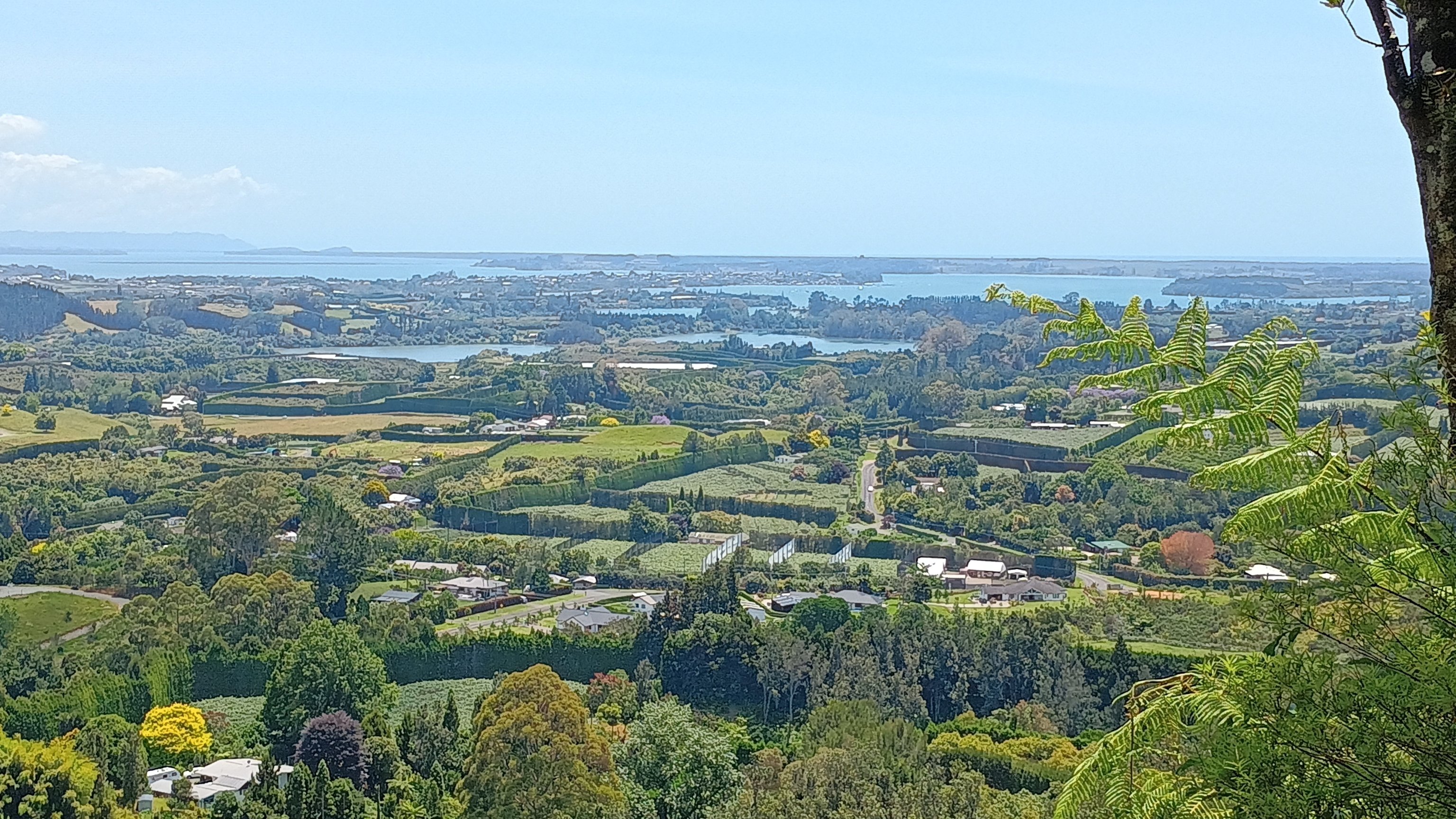  🇳🇿️ Tauranga and the bay of Plenty images/2024/tau/hig.jpg