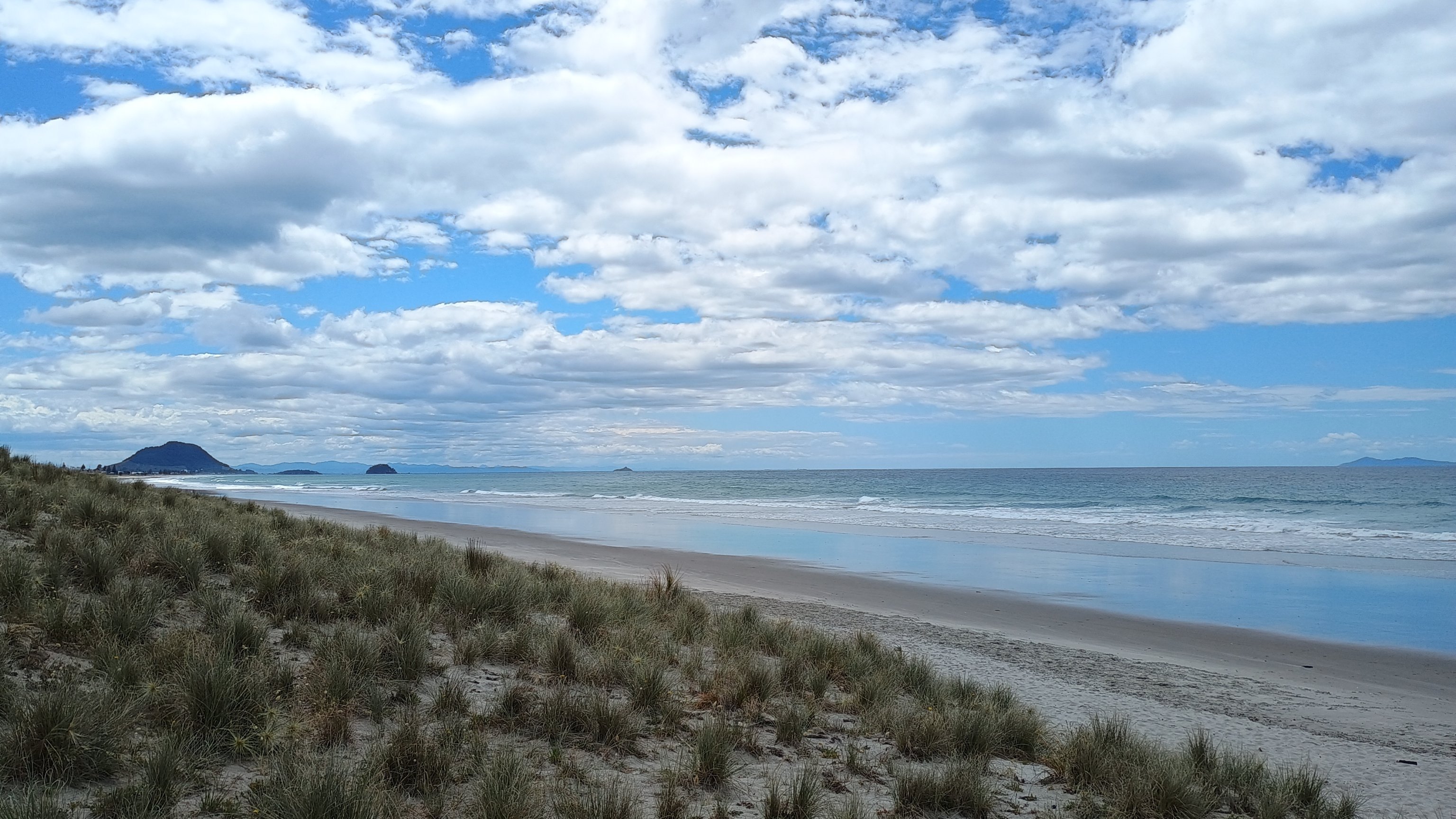  🇳🇿️ Tauranga and the bay of Plenty images/2024/tau/pap.jpg