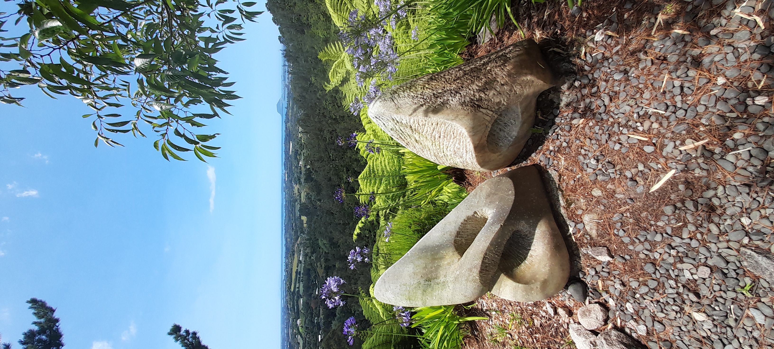  🇳🇿️ Tauranga and the bay of Plenty images/2024/tau/puna1.jpg