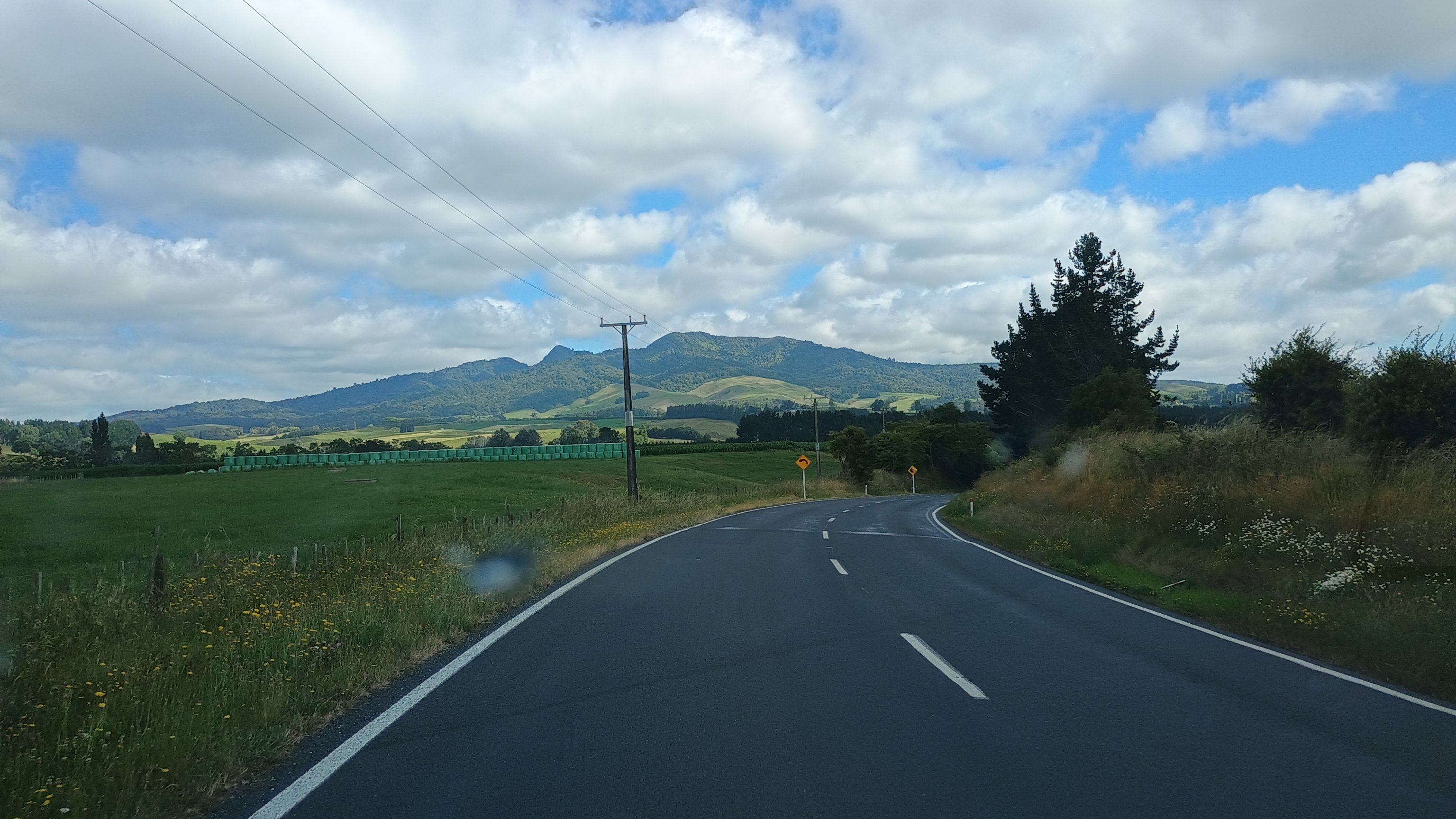  🇳🇿️ Tauranga and the bay of Plenty images/2024/tau/sanc.jpg