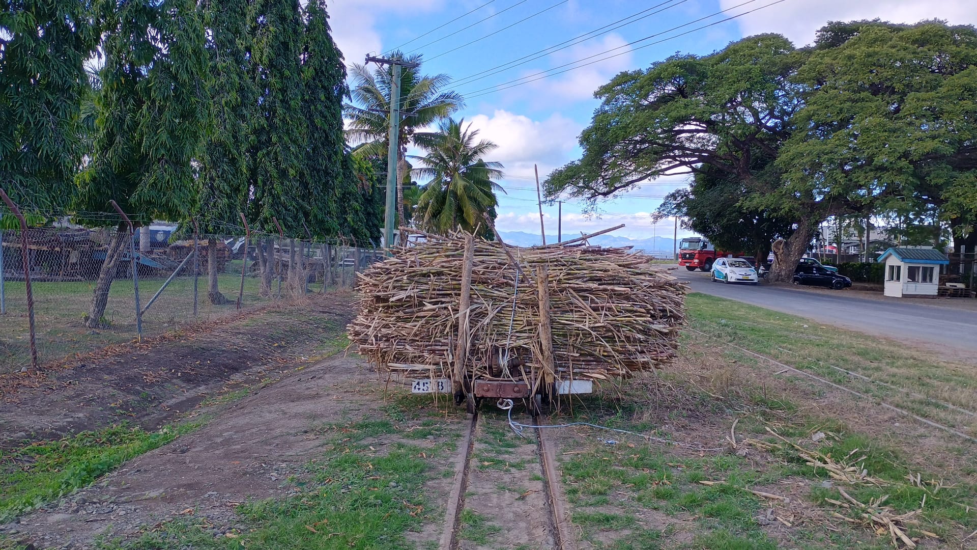  🇫🇯️ Hauling out in Fiji images/2024/vuda/ss.jpg