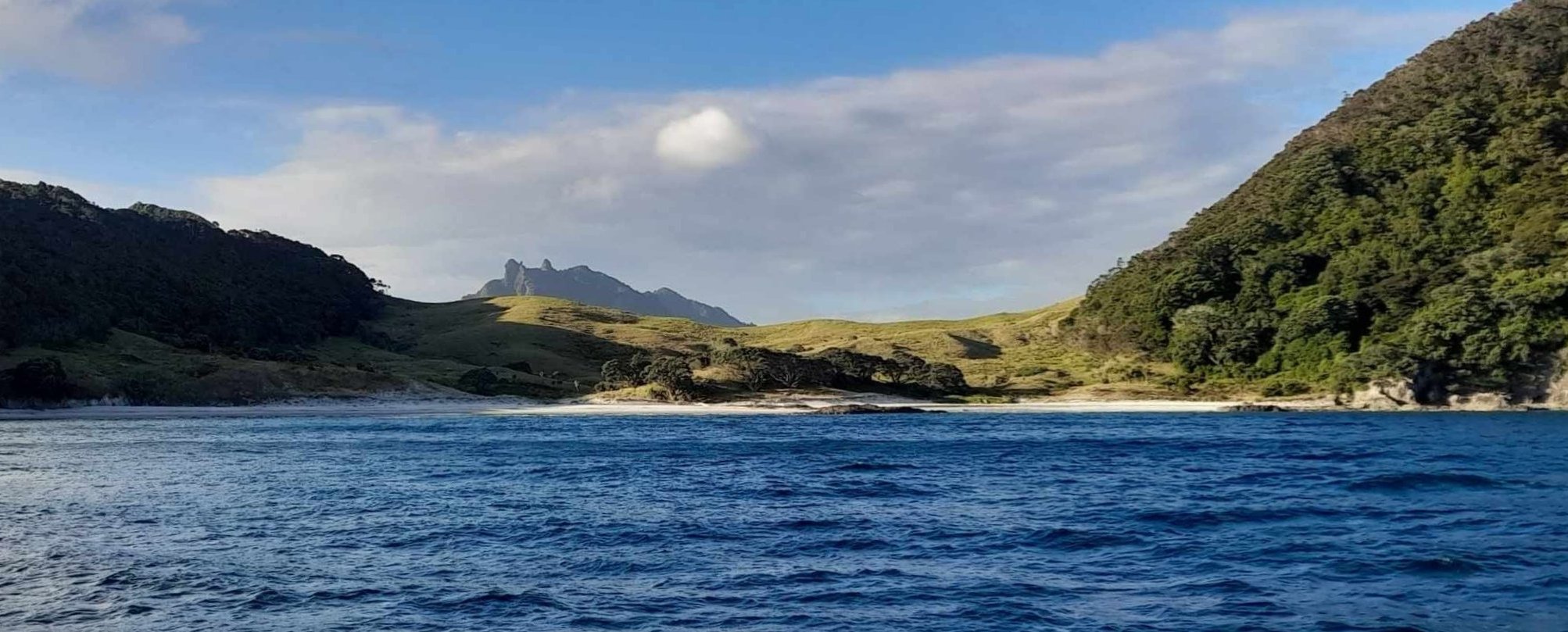  🇳🇿️ Back in Marsden and Whangarei  images/2025/mars/sm.jpg